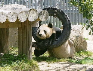 千葉　デザイン　住宅　断熱