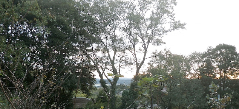設計　住宅　木更津市